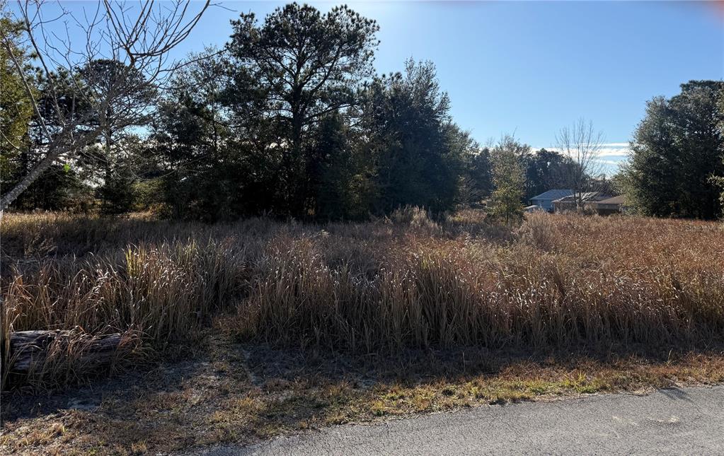 Dogwood Loop Ocala, FL 34472 - Photo 3 of 5