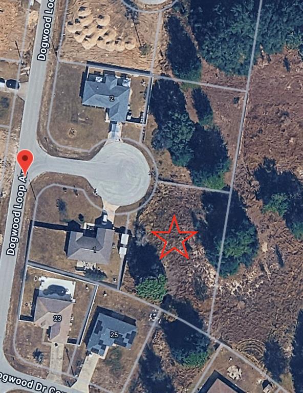 Dogwood Loop Ocala, FL 34472 - Photo 4 of 5