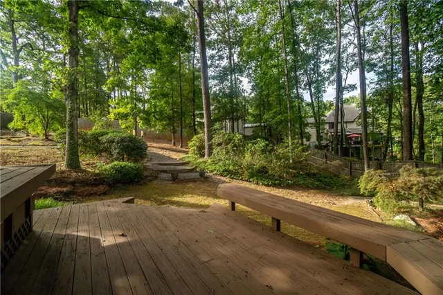 a view of backyard and tree