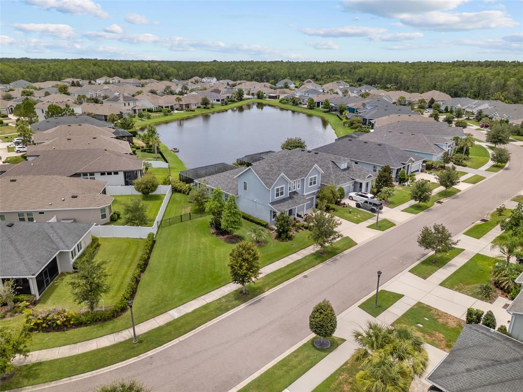 3164 Satilla Loop Odessa, FL 33556 - Photo 6 of 52