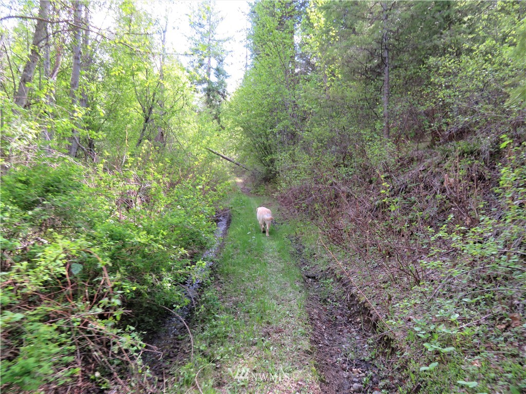 133 Slippery Hill Republic, WA 99166 - Photo 14 of 20 Gallery Image 14