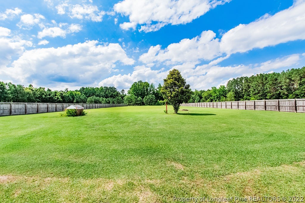 1105 John McMillan Road Hope Mills, NC 28348 - Photo 8 of 50 a view of a golf course with a lake