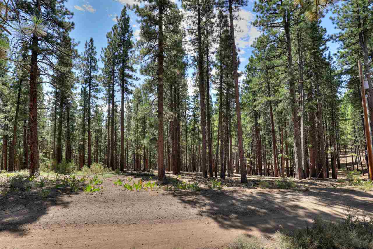 16801 Robertson Road Truckee, CA 96161 - Photo 10 of 21