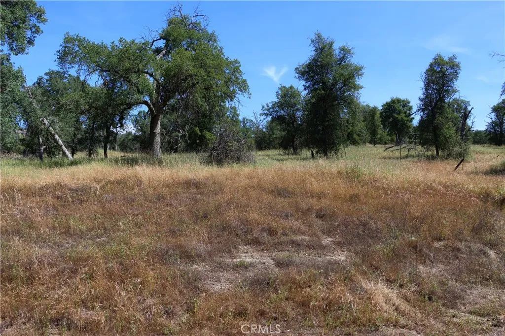 80 Polk Ranch Road Coarsegold, CA 93614 - Photo 18 of 31