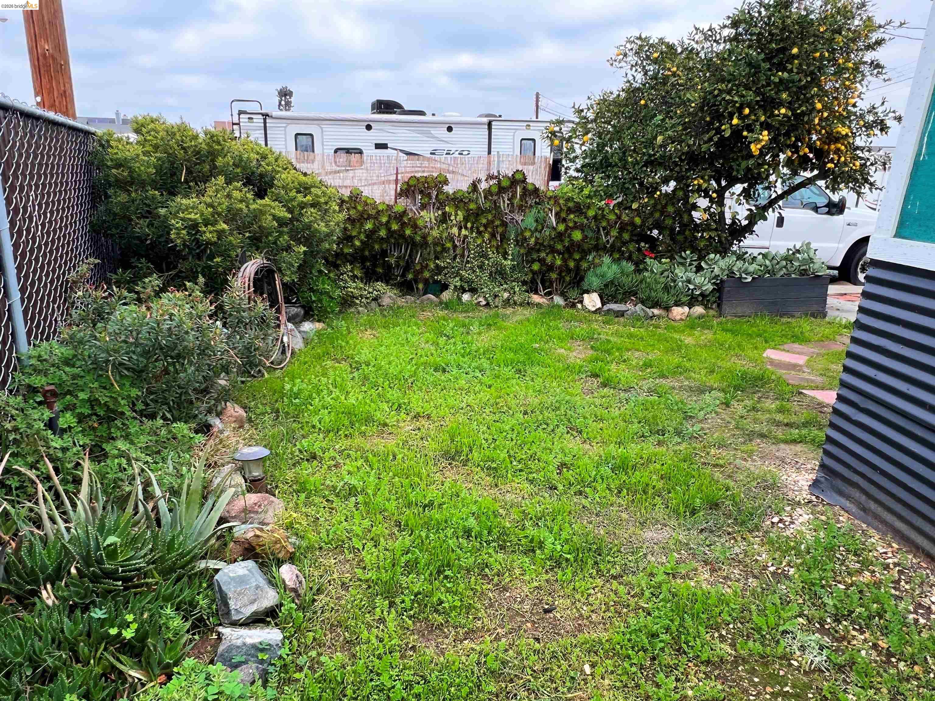 210 West Cypress Road, Unit 1 Oakley, CA 94561 - Photo 21 of 26 a view of a garden with plants and large trees