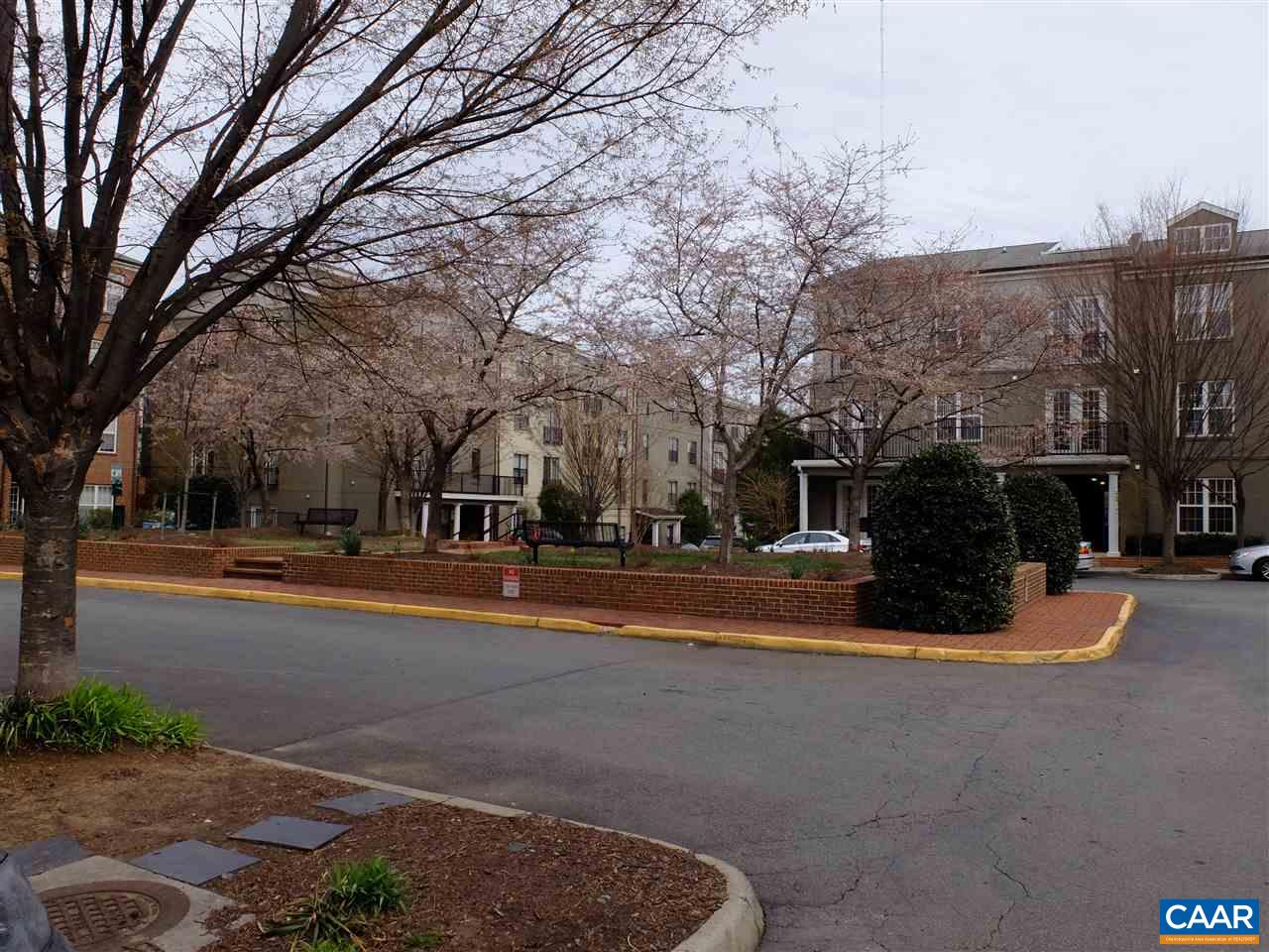 775 Walker Square, Unit 3C Charlottesville, VA 22903 - Photo 8 of 17 a view of road with trees