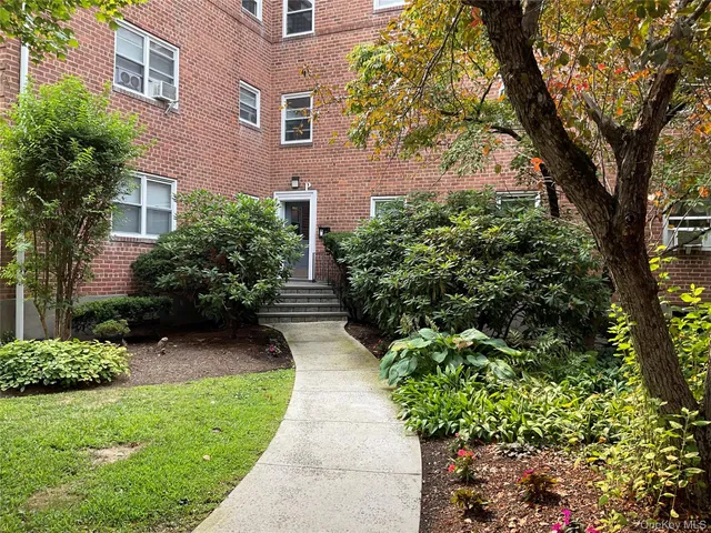 a view of yard with potted plants and large trees