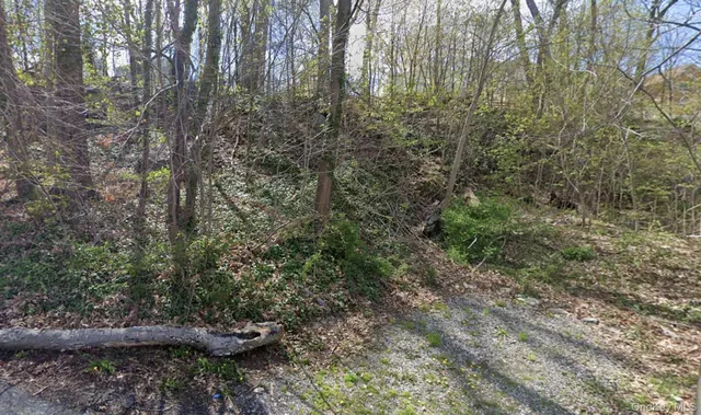 a view of a forest with trees