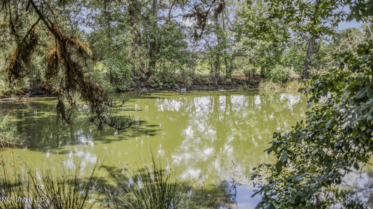 3088 Terrys Creek Road Magnolia, MS 39652 - Photo 47 of 64 570A1892