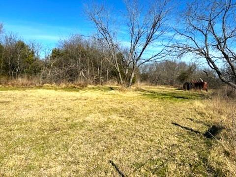 3-1 Fm 642 Dawson, TX 76639 - Photo 5 of 7 a view of a yard with a house