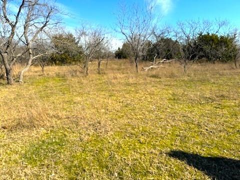 3-1 Fm 642 Dawson, TX 76639 - Photo 6 of 7 a view of lake view