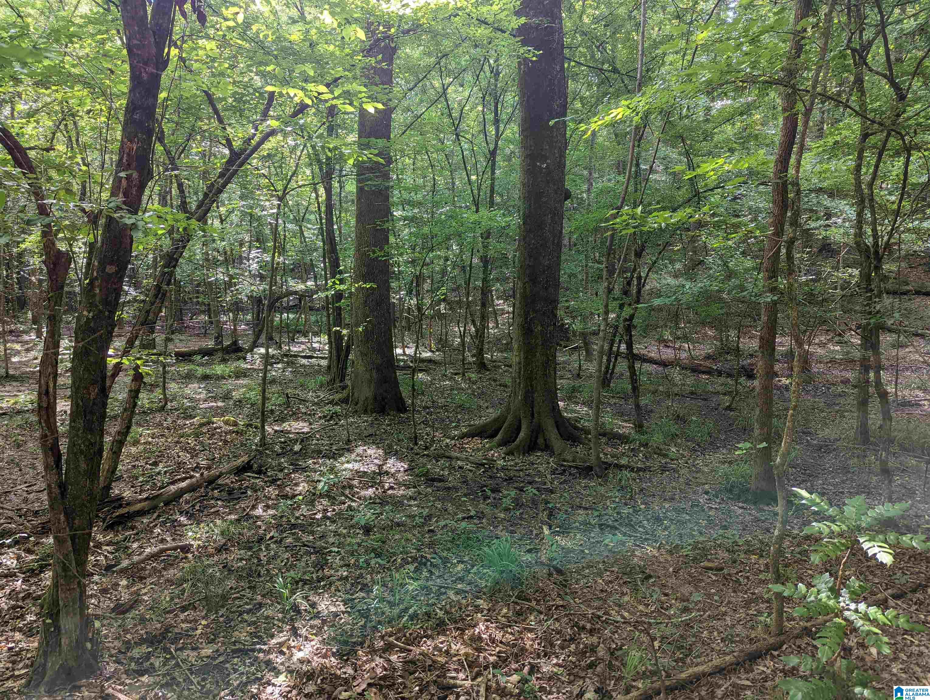 0 Stevens Creek Road Birmingham, AL 35244 - Photo 6 of 11