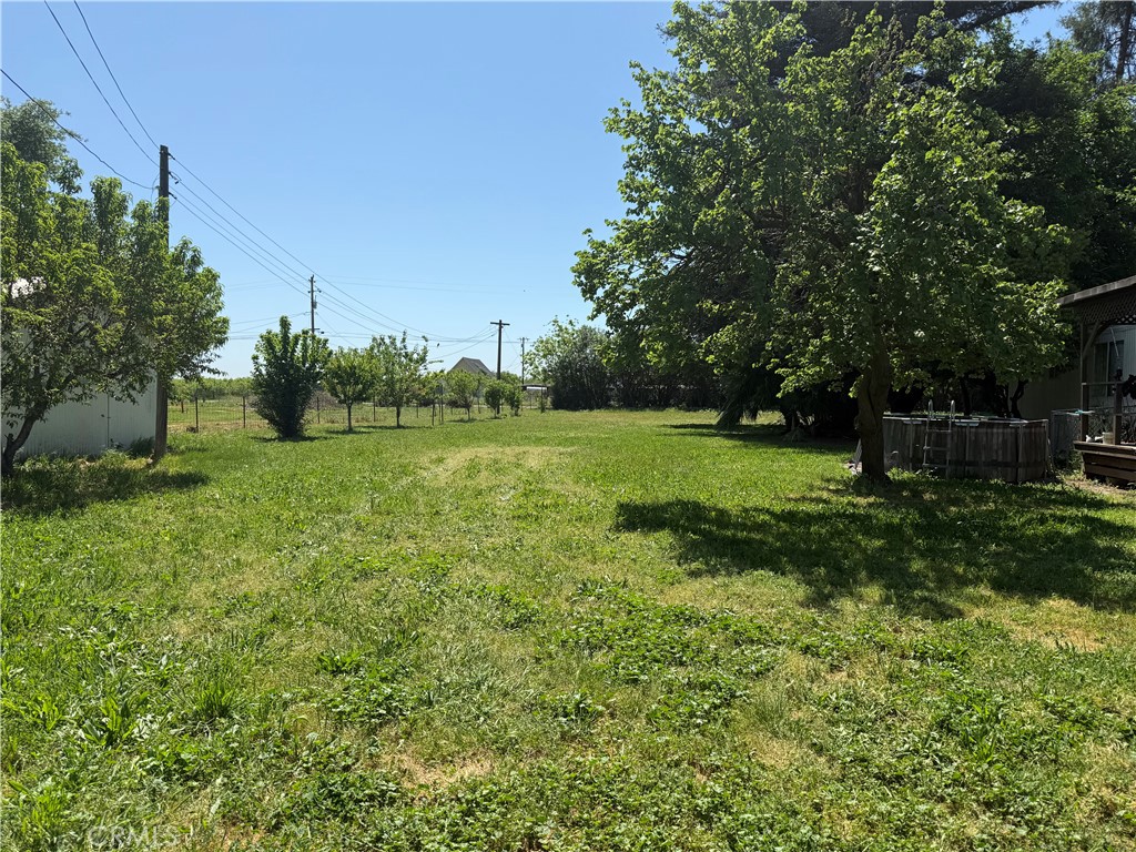 355 Obrien Avenue Gridley, CA 95948 - Photo 12 of 27 a view of a garden with a tree