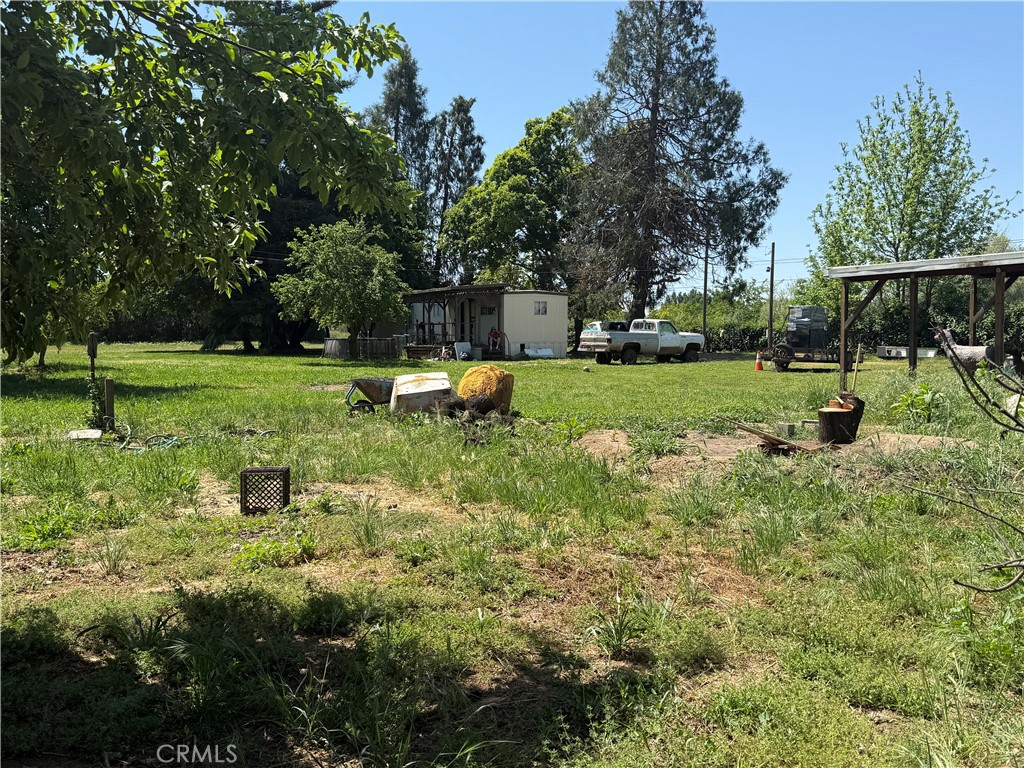 355 Obrien Avenue Gridley, CA 95948 - Photo 23 of 27 a view of a garden with a tree
