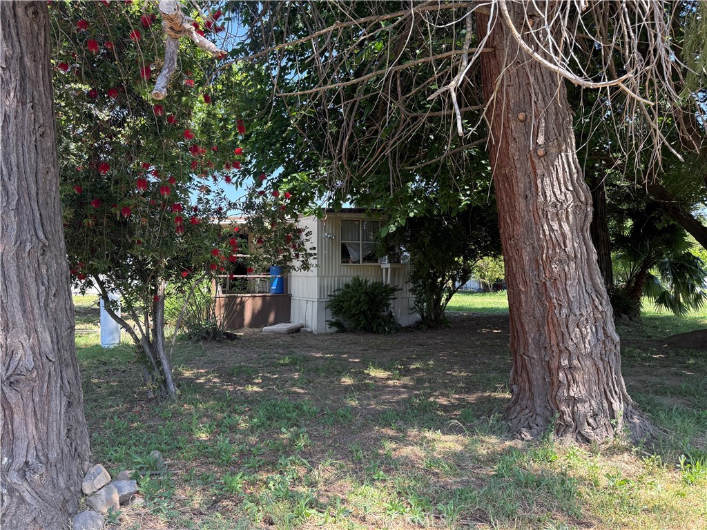355 Obrien Avenue Gridley, CA 95948 - Photo 3 of 27 a view of a house with a tree and a tree
