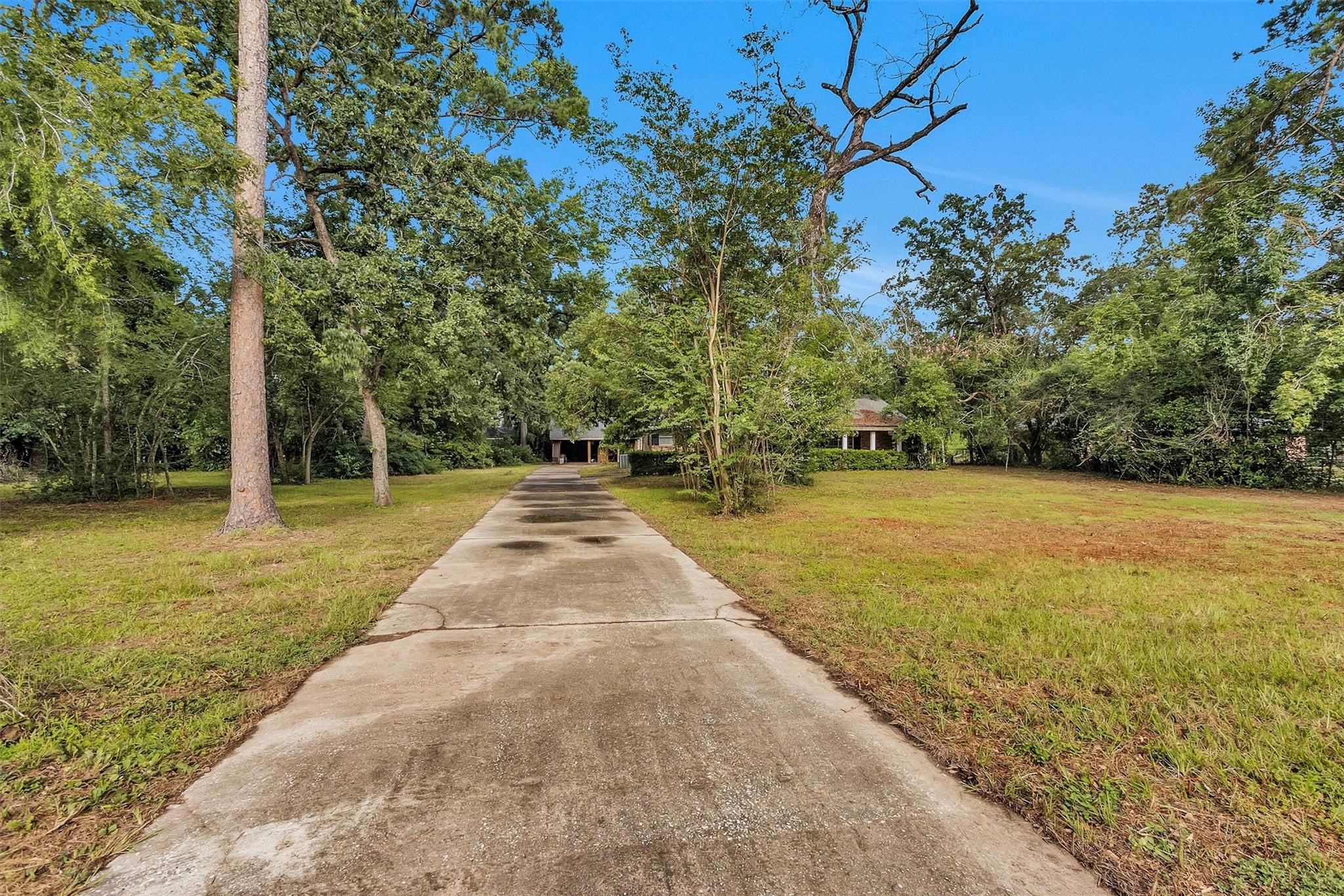 29526 West Hawthorne Drive Spring, TX 77386 - Photo 7 of 13 a view of swimming pool with trees