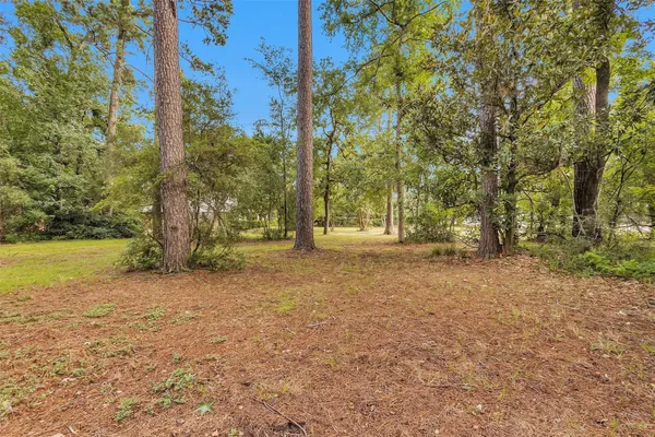 a view of a tree in the middle of a yard