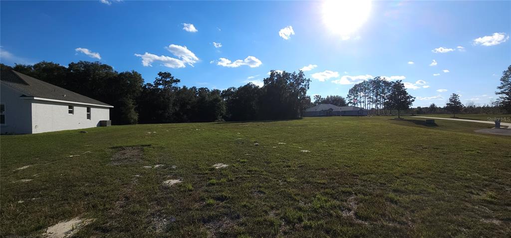 70th Street Silver Springs, FL 34488 - Photo 13 of 30 a view of a big yard