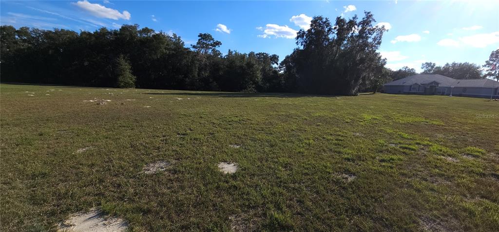 70th Street Silver Springs, FL 34488 - Photo 14 of 30 a view of an outdoor space and yard
