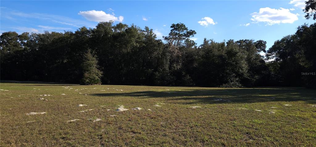 70th Street Silver Springs, FL 34488 - Photo 17 of 30 a view of a backyard