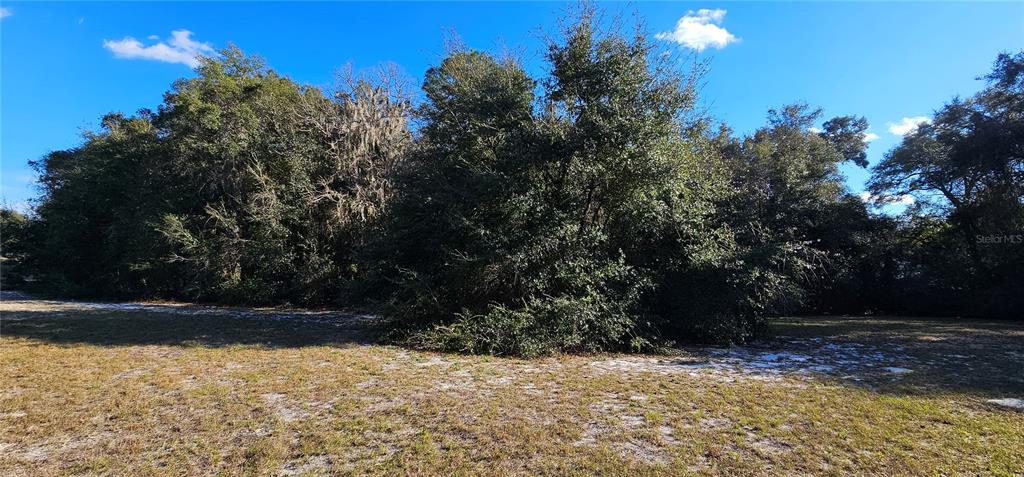70th Street Silver Springs, FL 34488 - Photo 24 of 30 a view of backyard with green space