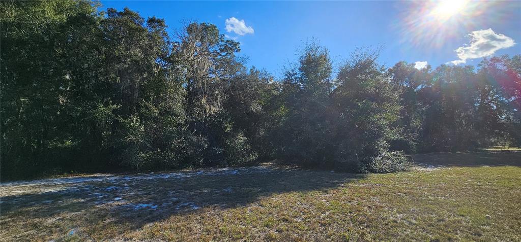 70th Street Silver Springs, FL 34488 - Photo 25 of 30 a view of a yard with a tree