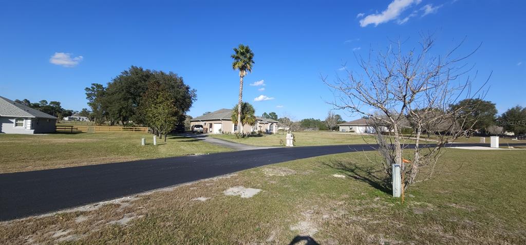 70th Street Silver Springs, FL 34488 - Photo 5 of 30 a view of yard with tree in beside