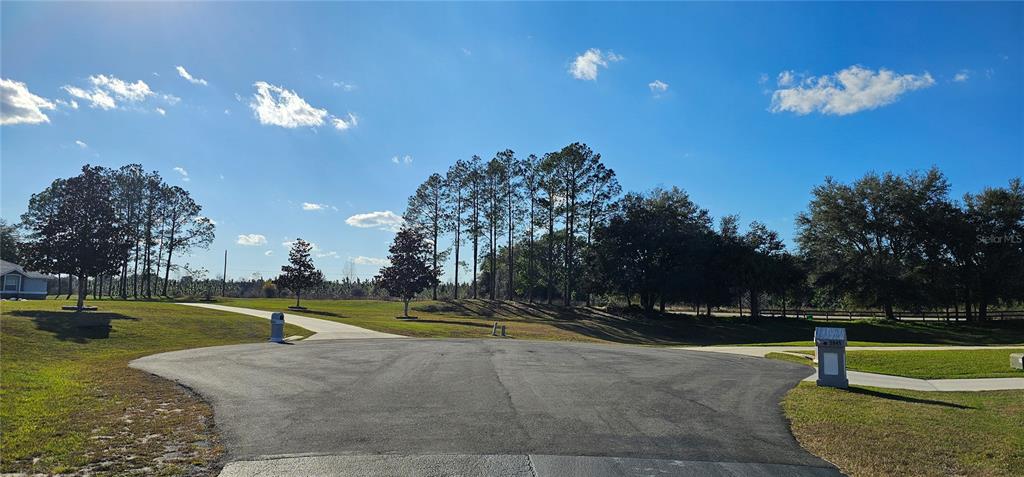 70th Street Silver Springs, FL 34488 - Photo 6 of 30 a view of a swimming pool with a yard