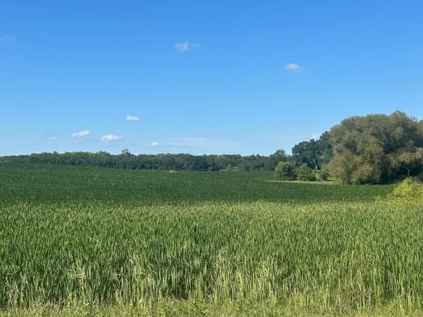 $390,000 | 12 Dalton Mn 56324, Dalton, MN 56324