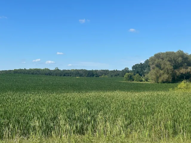 $390,000 | 12 Dalton Mn 56324, Dalton, MN 56324