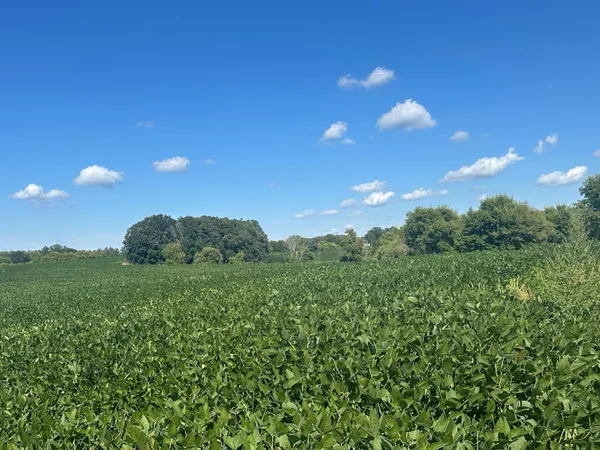 $390,000 | 12 Dalton Mn 56324, Dalton, MN 56324