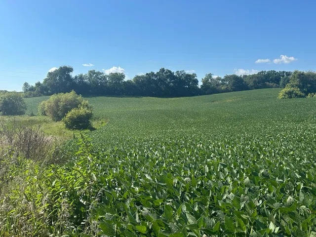 $390,000 | 12 Dalton Mn 56324, Dalton, MN 56324