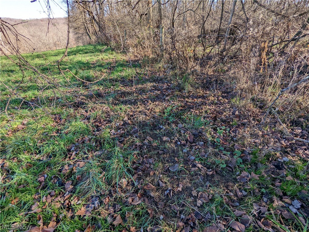 6 County Road Tippecanoe, OH 44699 - Photo 14 of 28 Gallery Image 14