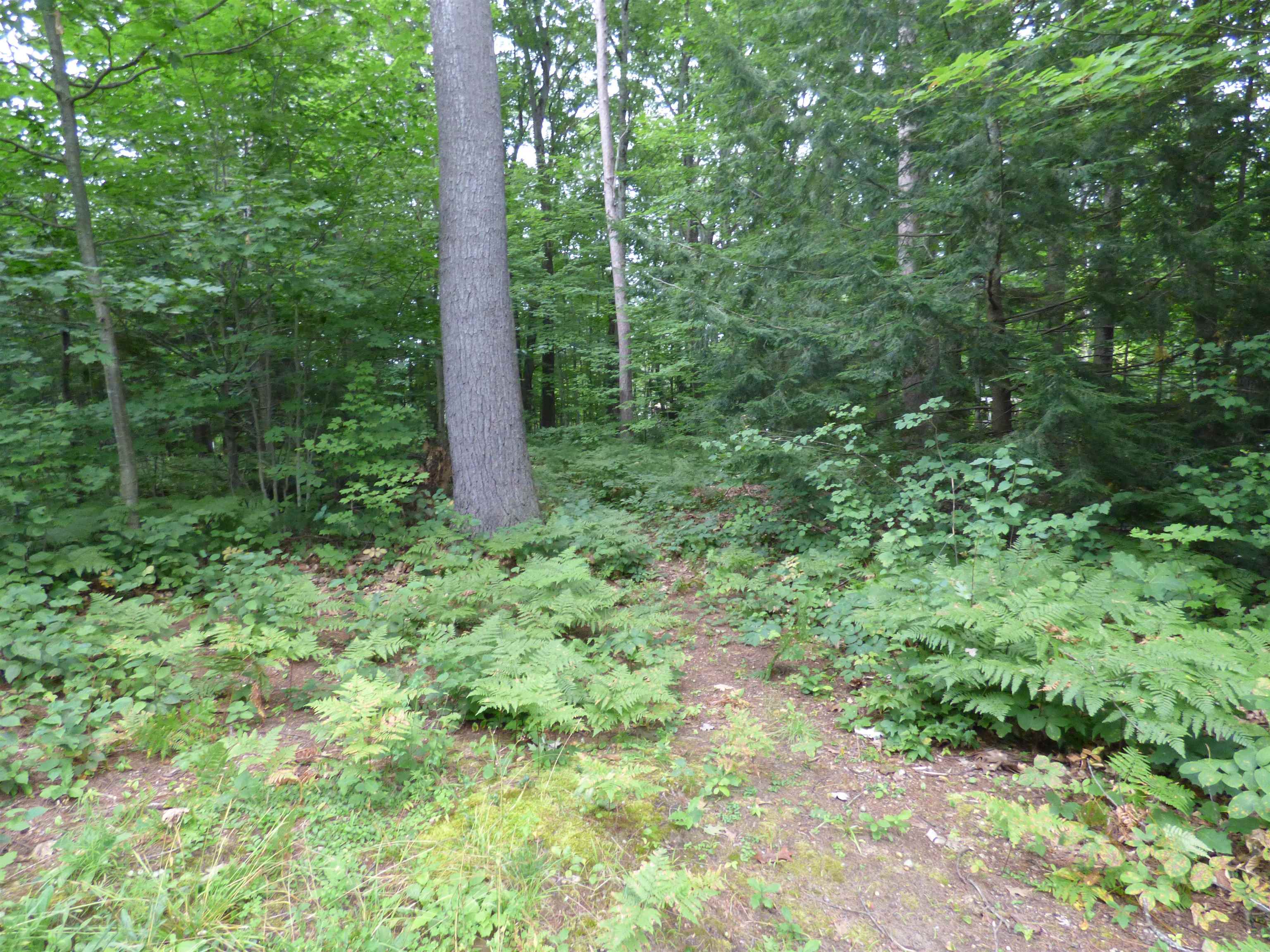 Clover Lane Newport, VT 05855 - Photo 4 of 17