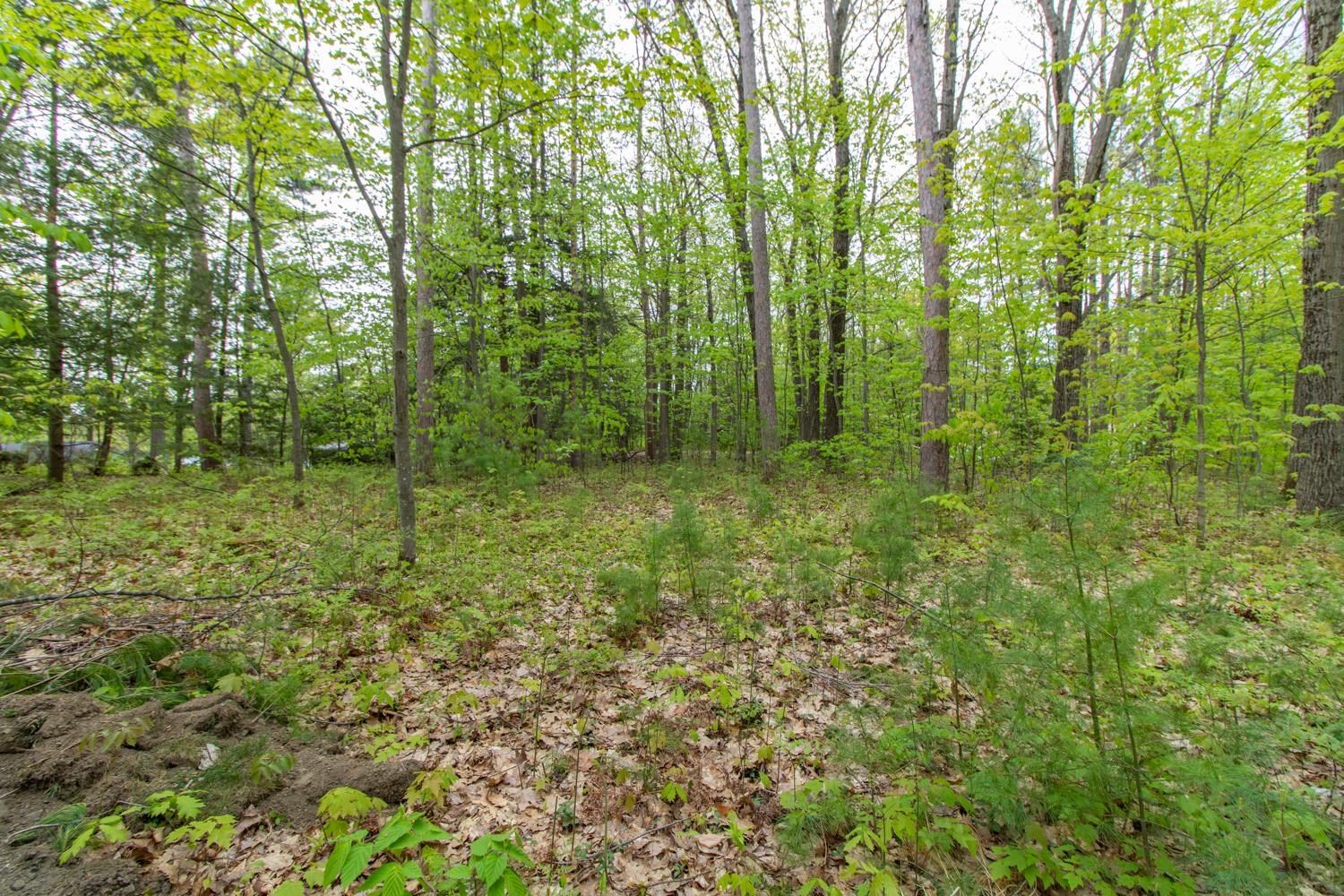 Clover Lane Newport, VT 05855 - Photo 9 of 17