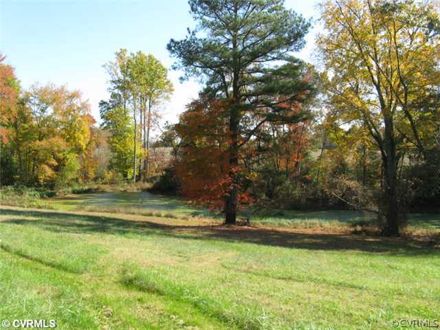 25131 Ruther Glen Road Ruther Glen, VA 22546 - Photo 5 of 6 Land - View of pond from barn
