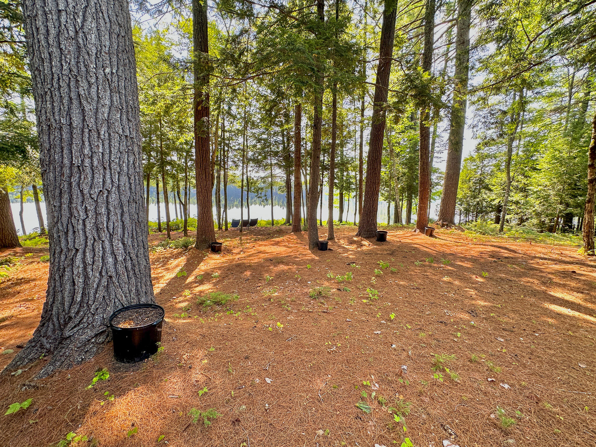 22 Hemlock Pt Road Lincoln, ME 04457 - Photo 10 of 28 10