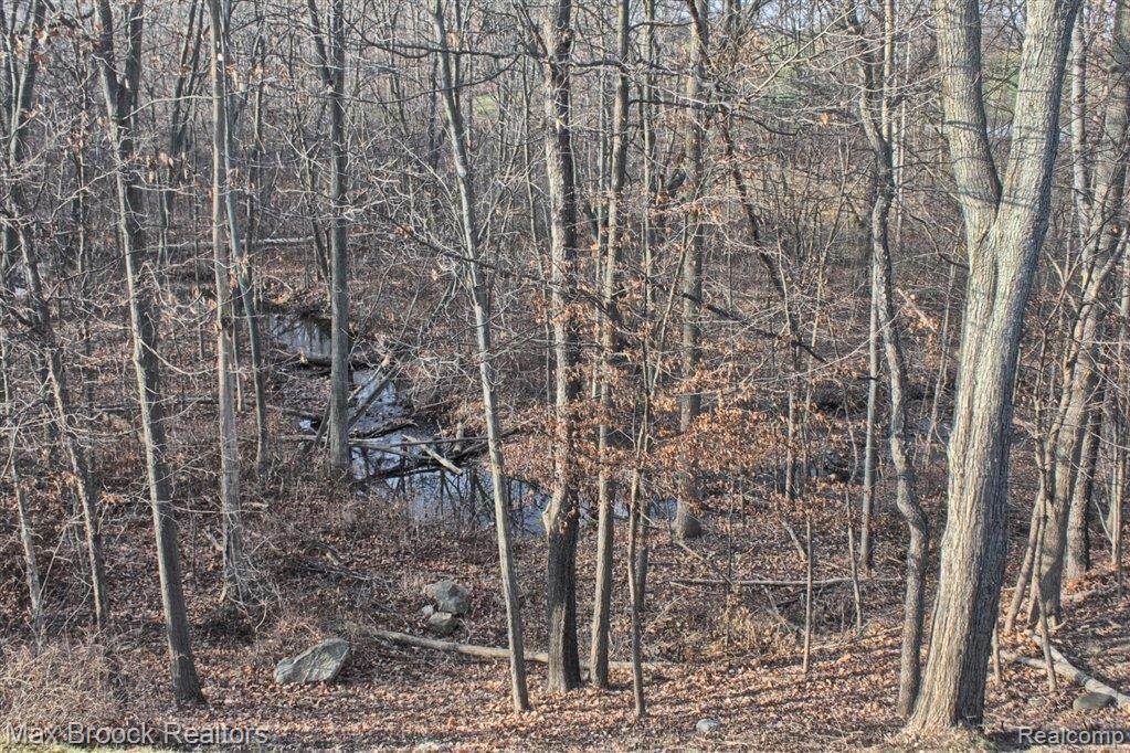 4652 Goodison Pl Drive Rochester, MI 48306 - Photo 23 of 25 View From Screen Porch.jpg