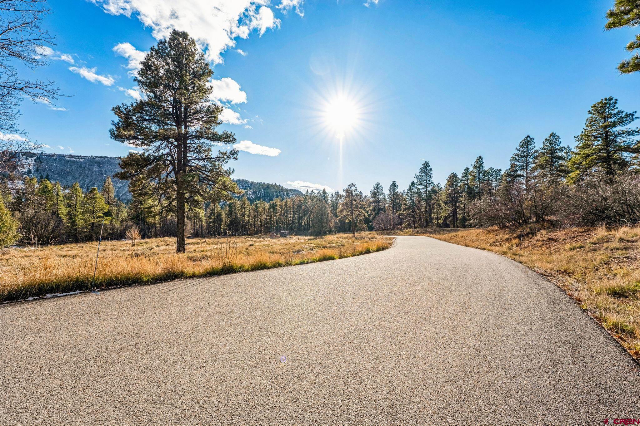 701 Durango Cliffs Drive Durango, CO 81301 - Photo 14 of 43