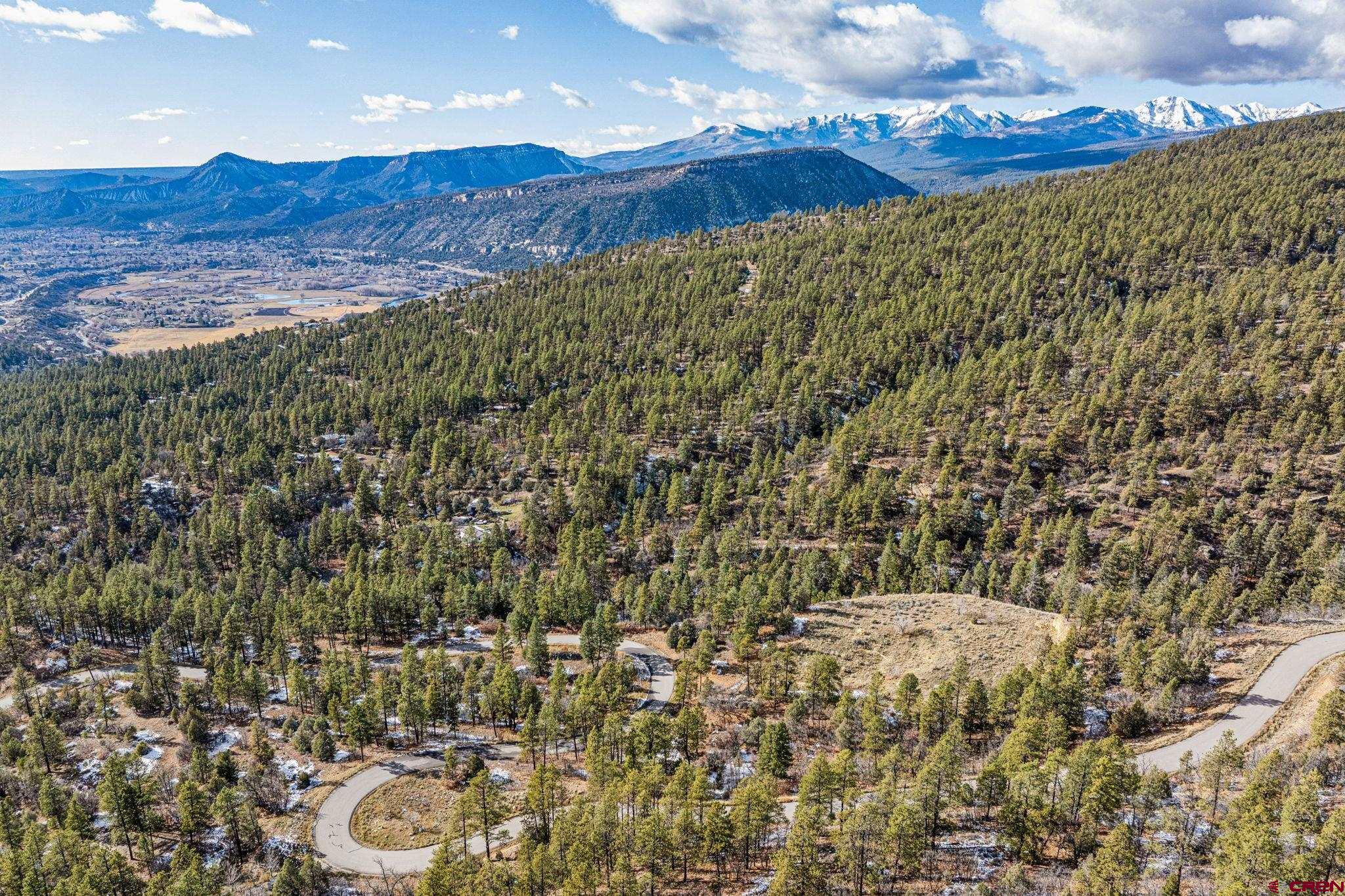 701 Durango Cliffs Drive Durango, CO 81301 - Photo 23 of 43 a view of a bunch of trees and bushes