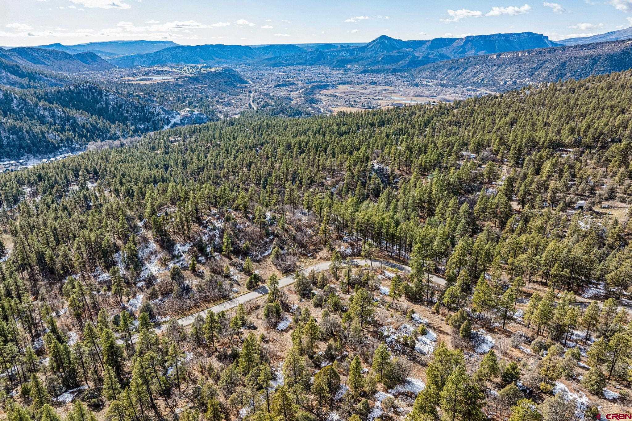 701 Durango Cliffs Drive Durango, CO 81301 - Photo 24 of 43 a view of a lush green forest with mountains in the background
