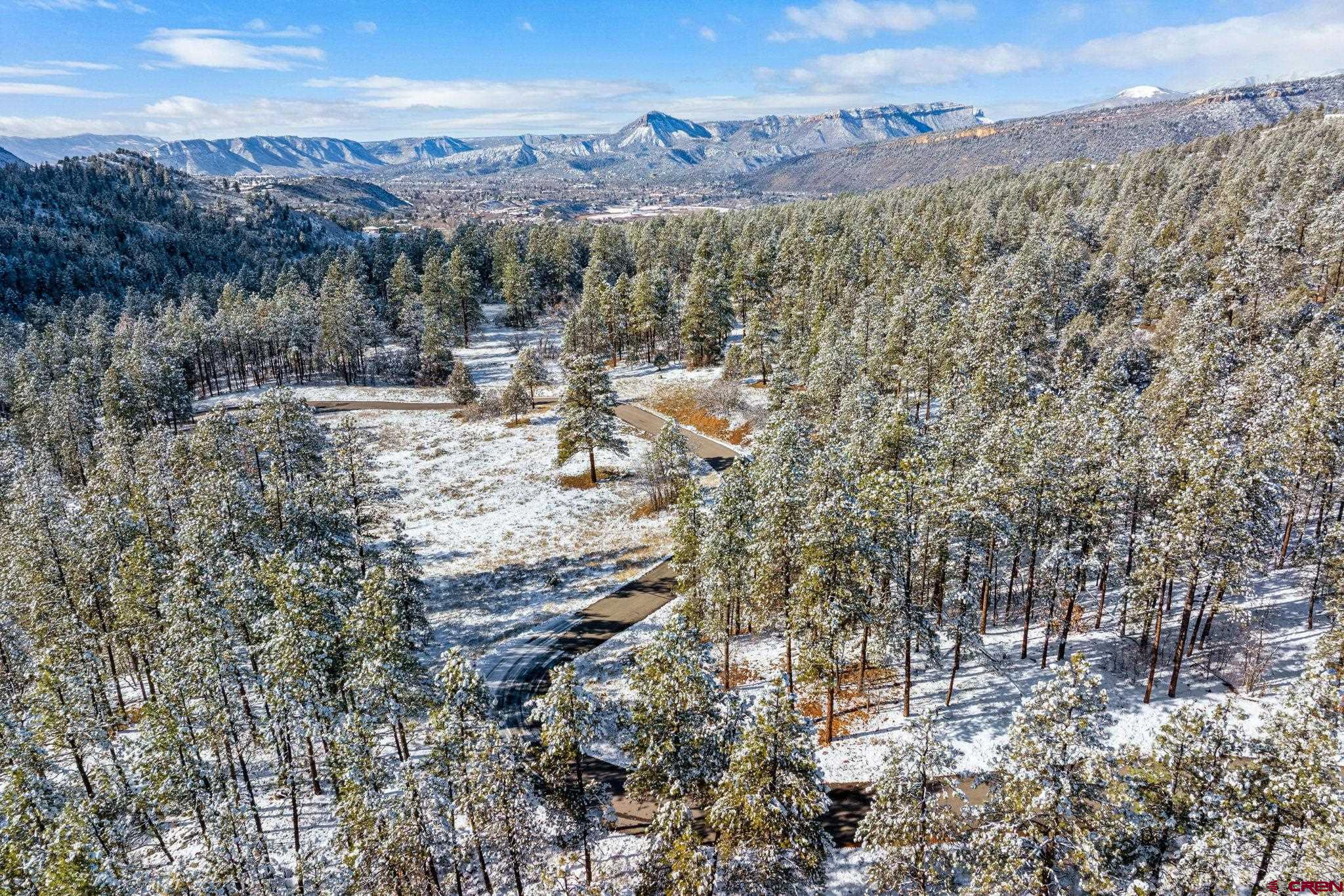 701 Durango Cliffs Drive Durango, CO 81301 - Photo 39 of 43 a view of a forest with mountains in the background