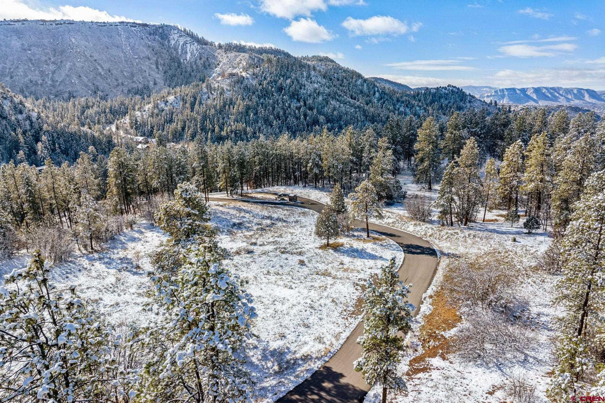 701 Durango Cliffs Drive Durango, CO 81301 - Photo 40 of 43 a view of a forest with mountains