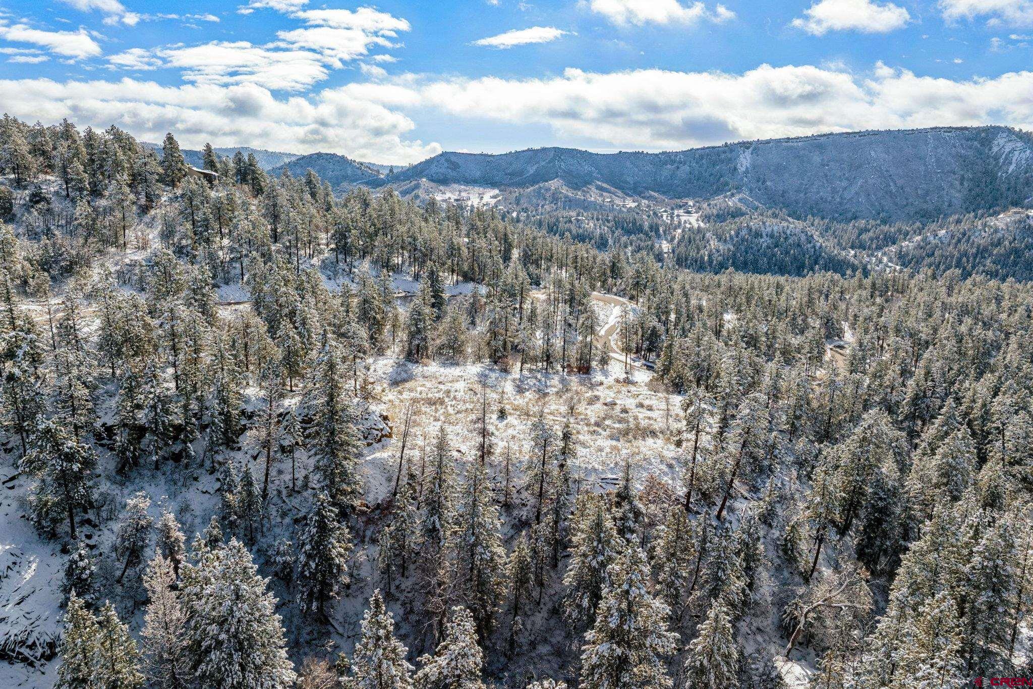 701 Durango Cliffs Drive Durango, CO 81301 - Photo 4 of 43