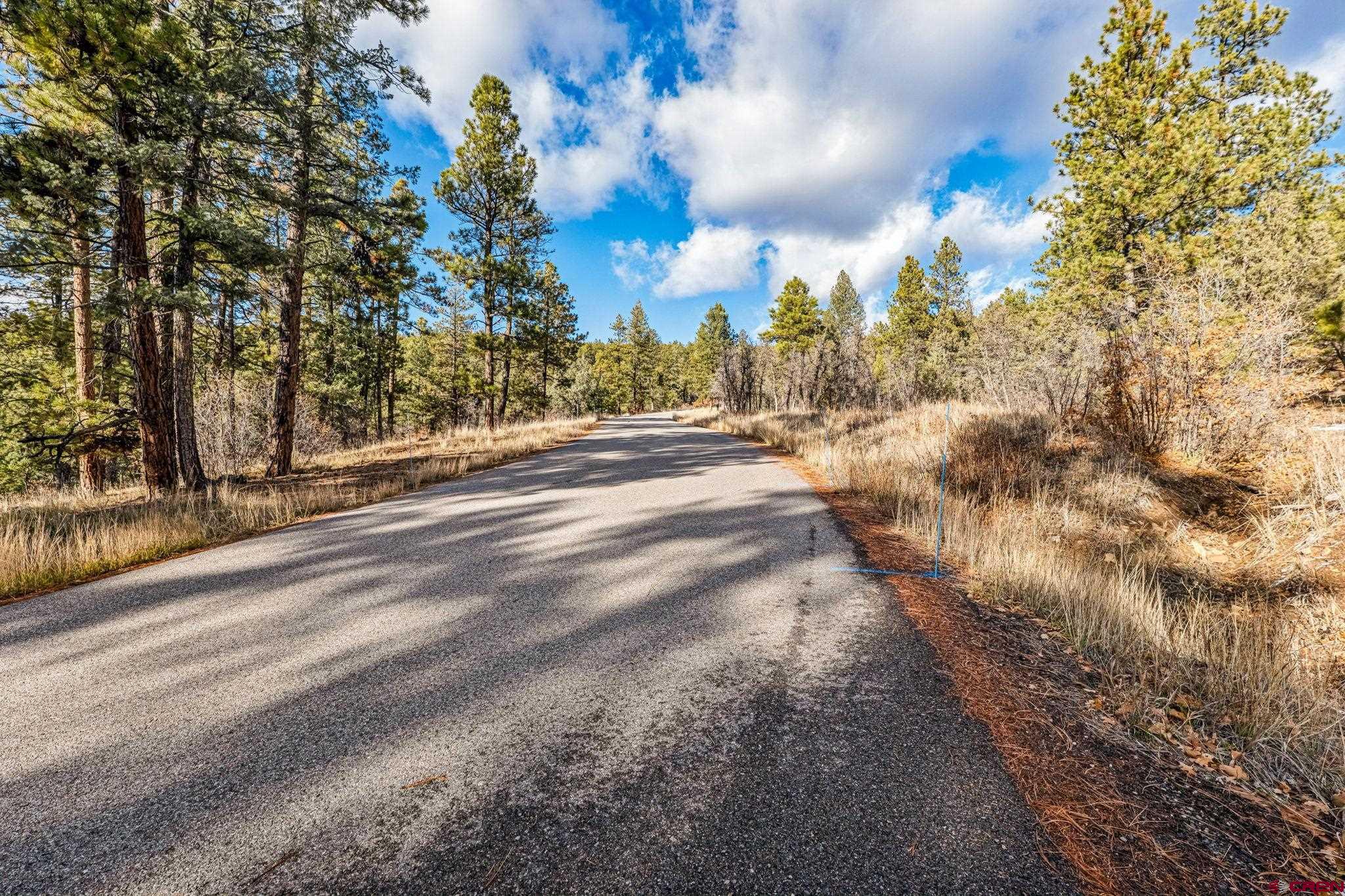 701 Durango Cliffs Drive Durango, CO 81301 - Photo 7 of 43