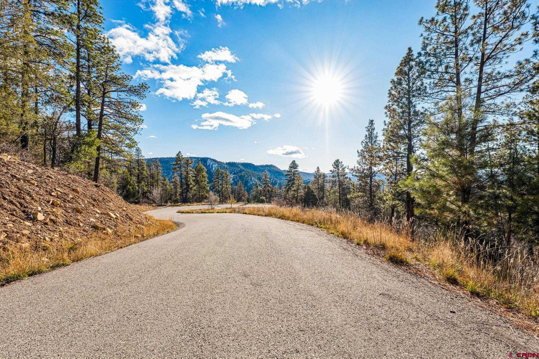 701 Durango Cliffs Drive Durango, CO 81301 - Photo 8 of 43