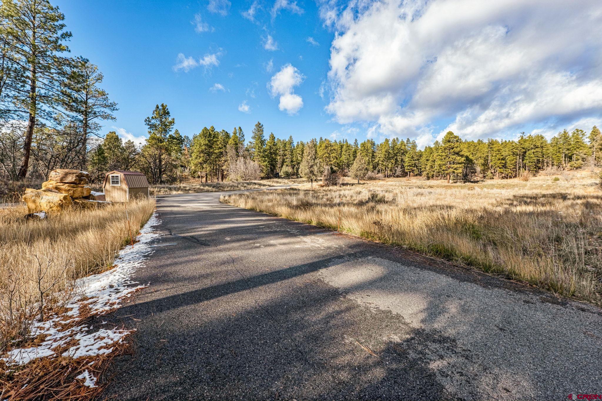 701 Durango Cliffs Drive Durango, CO 81301 - Photo 9 of 43