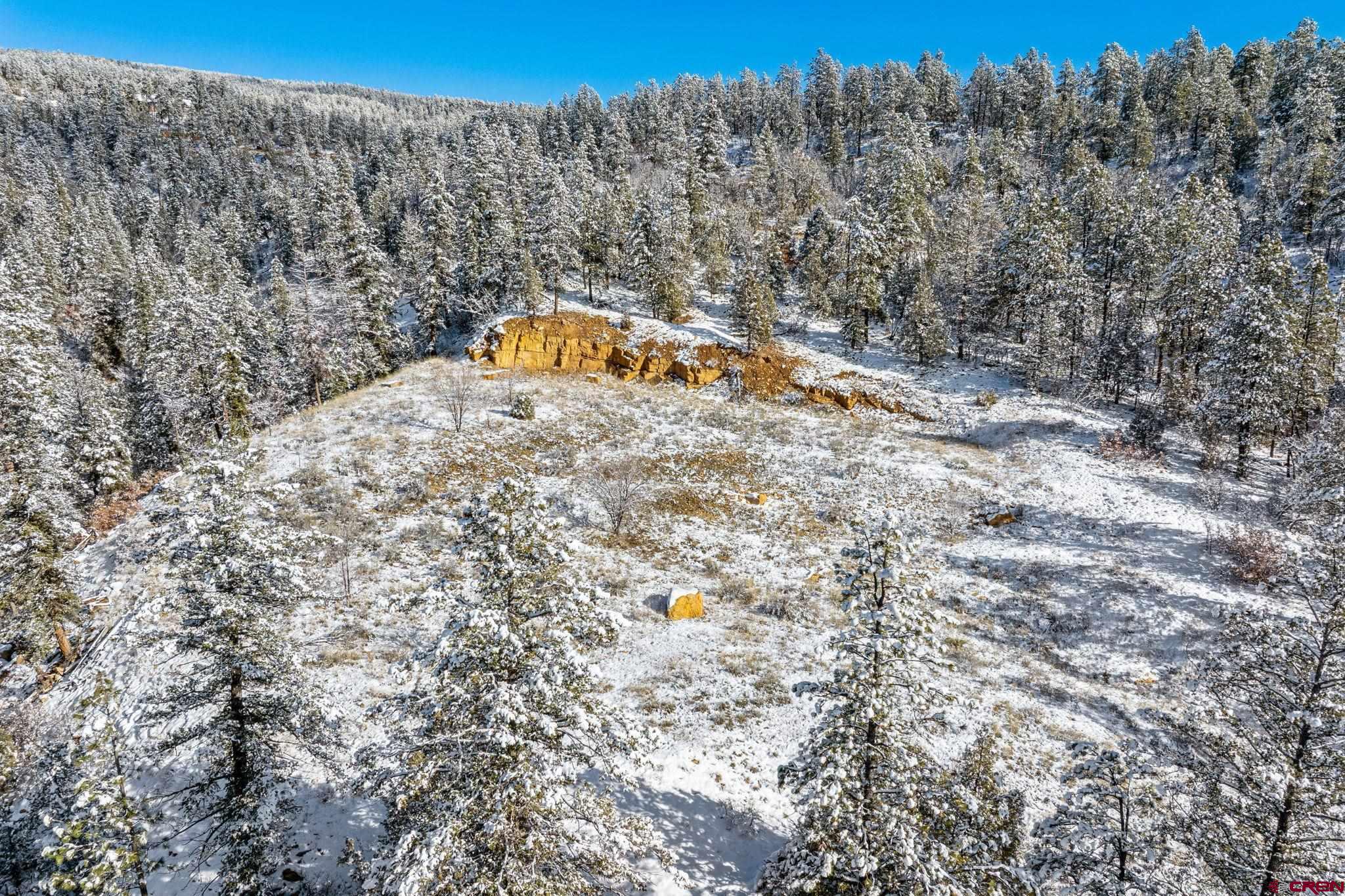 701 Durango Cliffs Drive Durango, CO 81301 - Photo 10 of 43