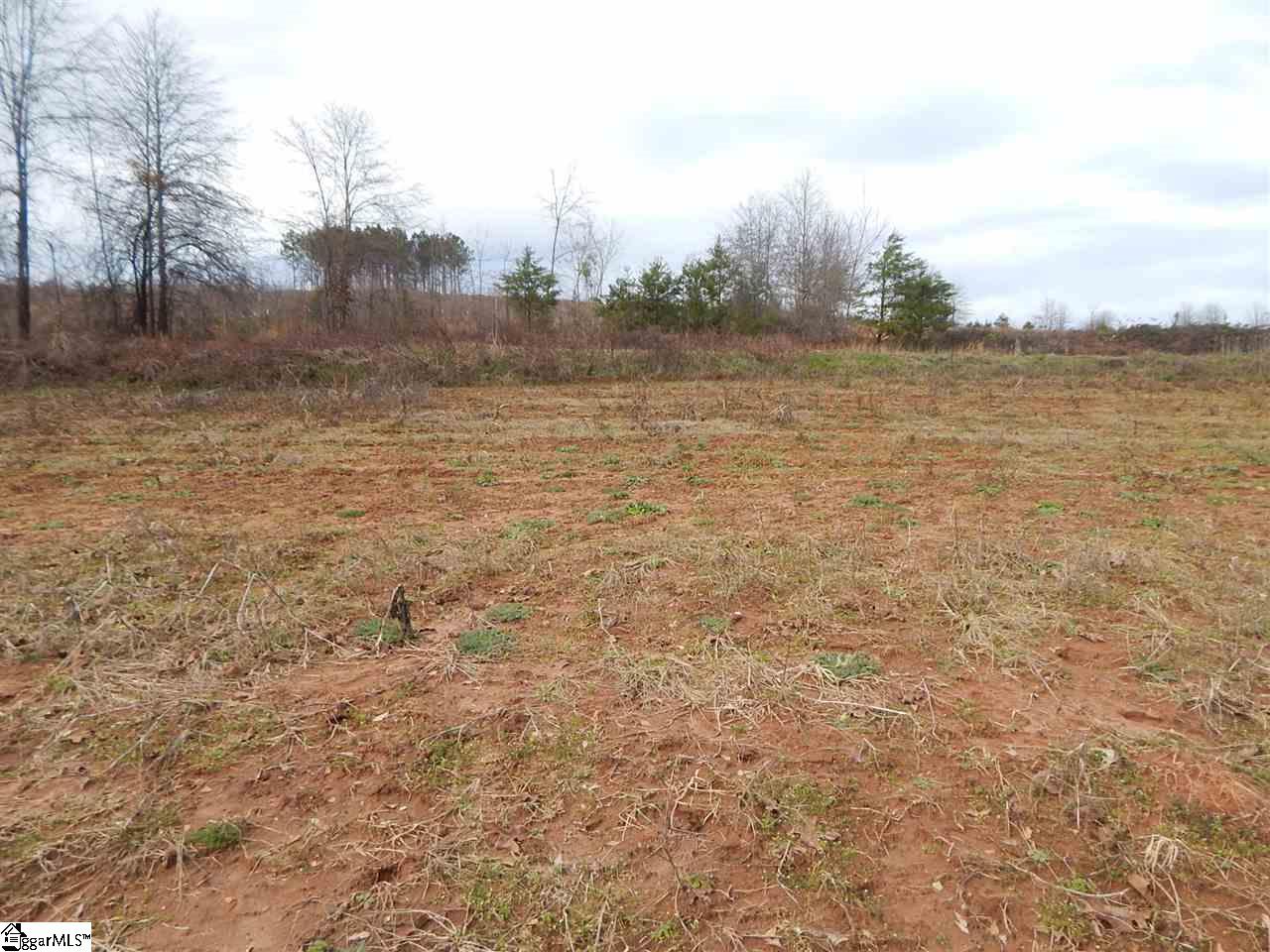 180 Coleman Road Wellford, SC 29385 - Photo 17 of 18