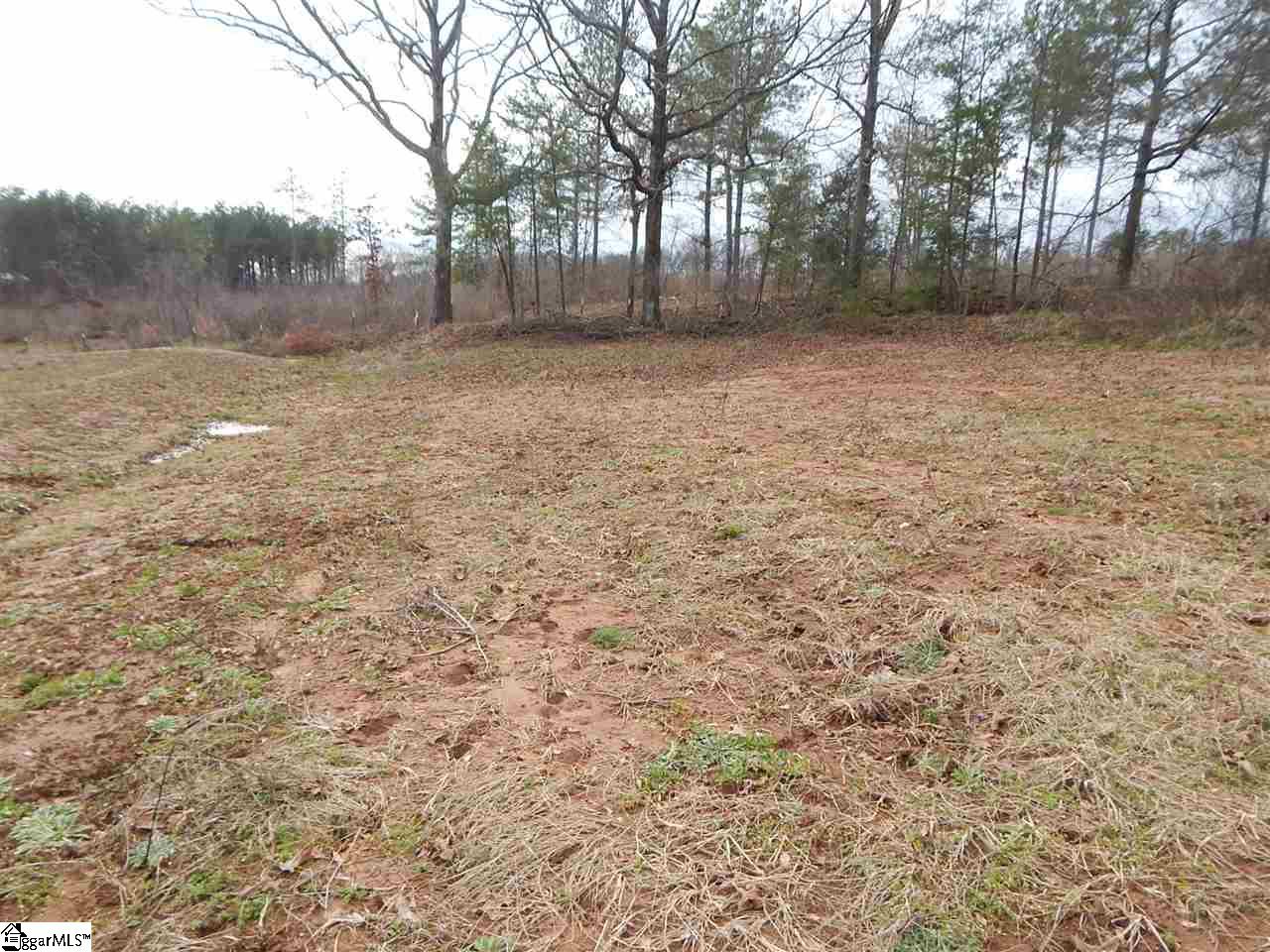 180 Coleman Road Wellford, SC 29385 - Photo 18 of 18